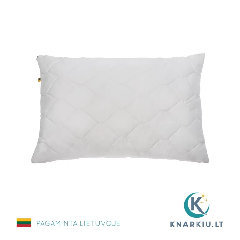 Pagalvė su šilku