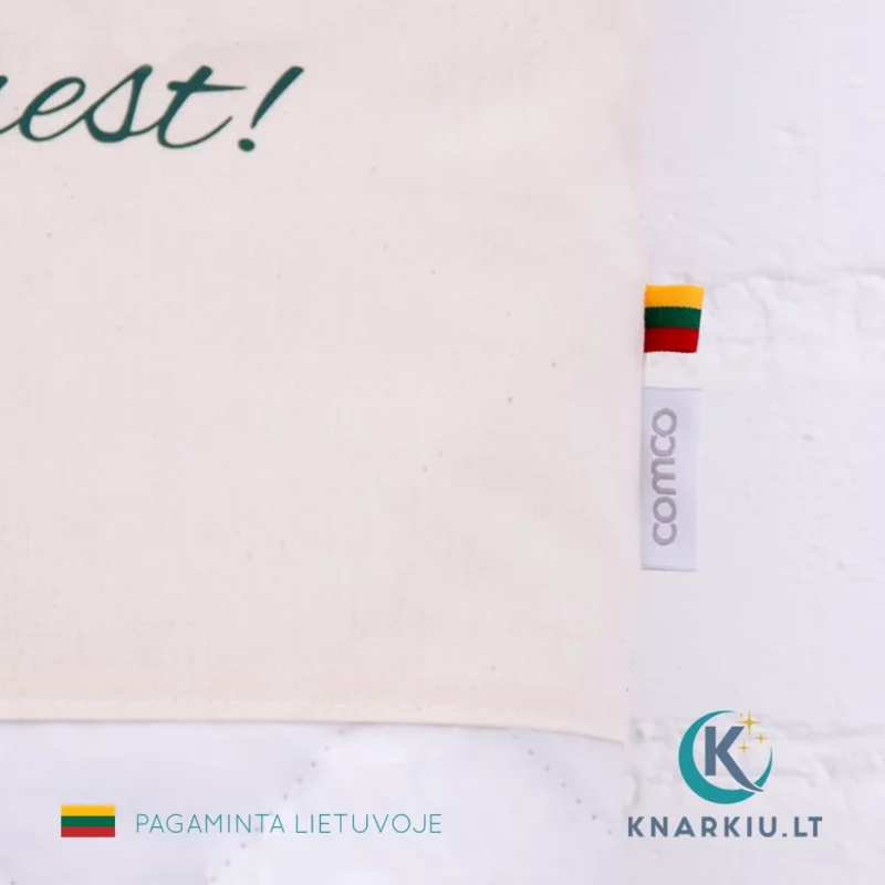 Žąsų plunksnų pagalvė