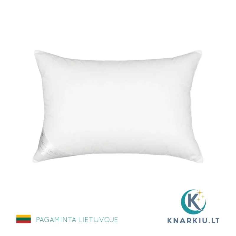 Ančių pūkų pagalvė