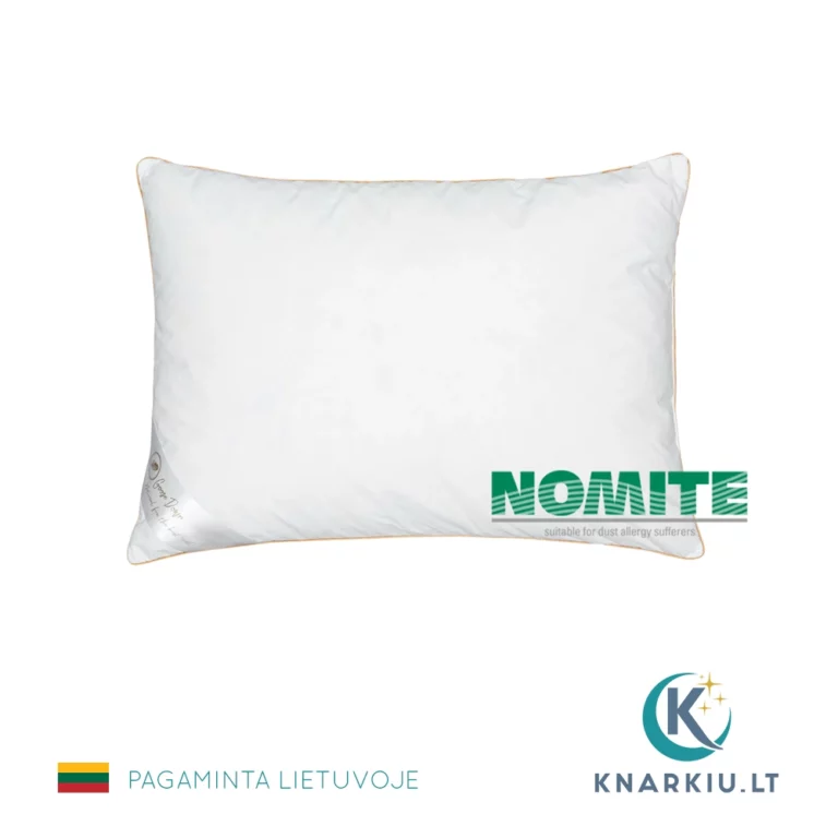 Žąsų pūkų pagalvė