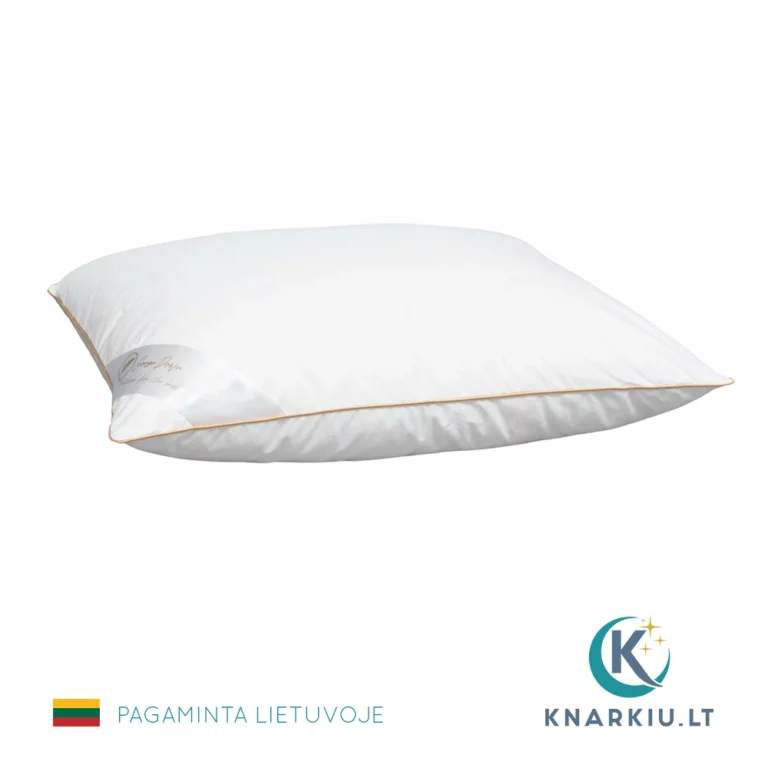 Žąsų pūkų pagalvė